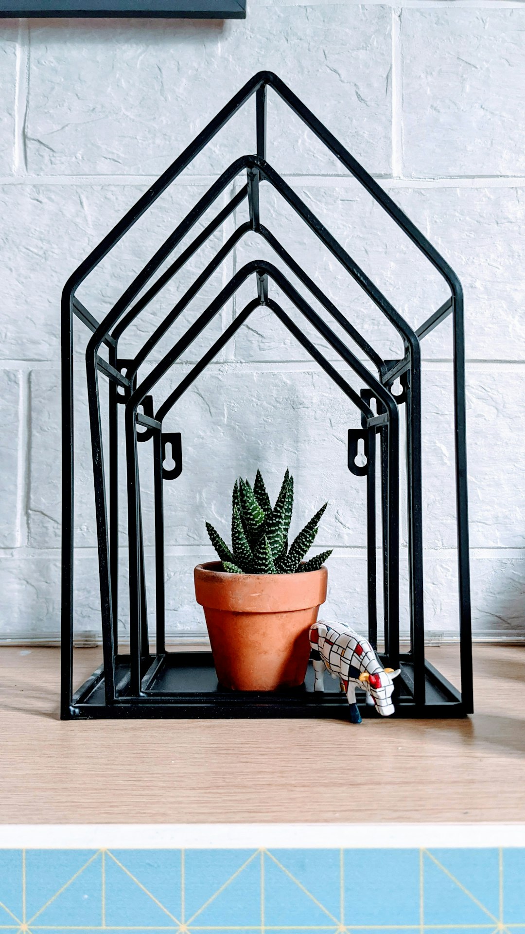 About green-potted-plant-on-black-metal-rack-6vwswc1bkxs